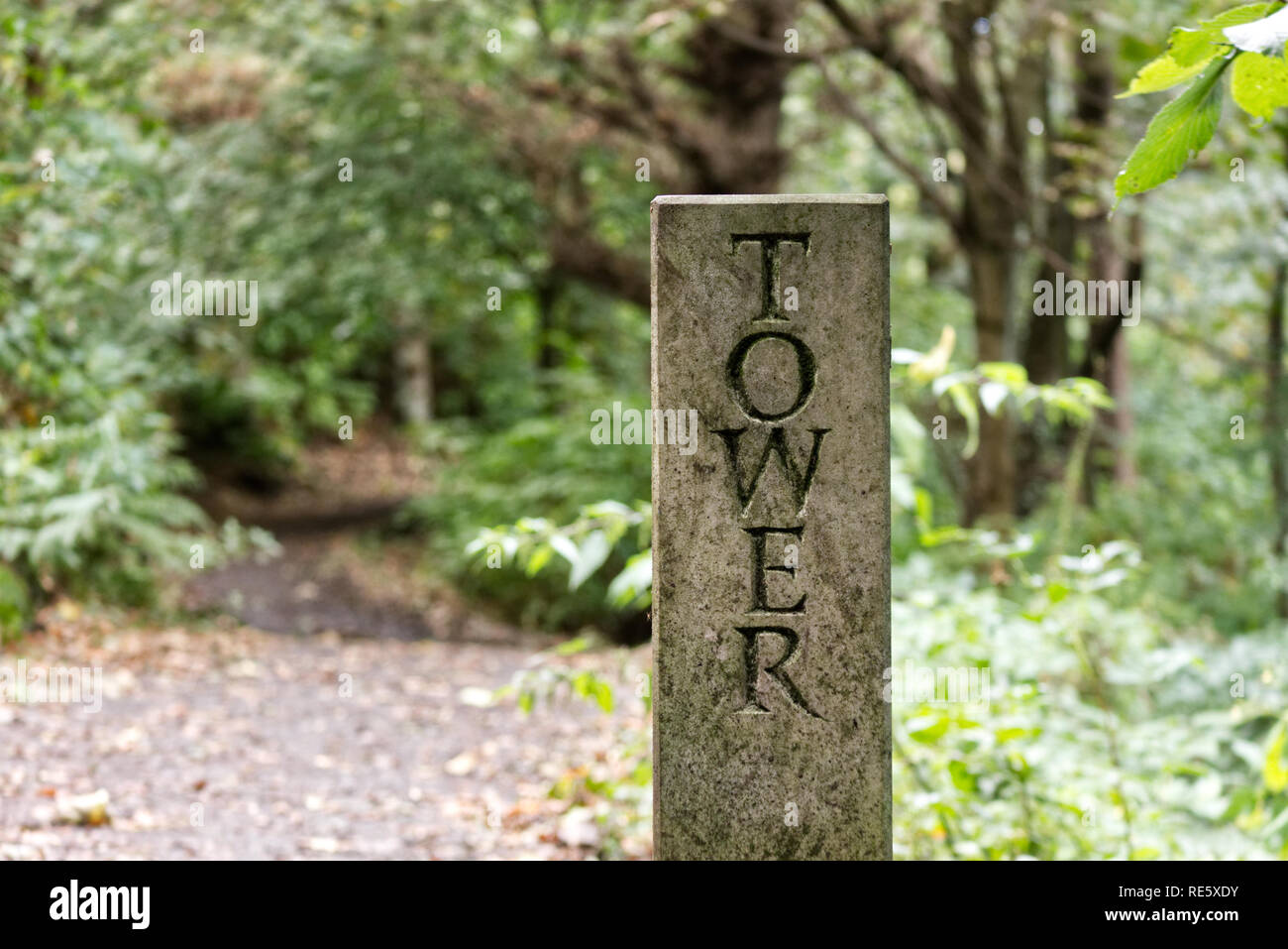 A stone pillar reading the word “tower” on a public forest path. Stock Photo