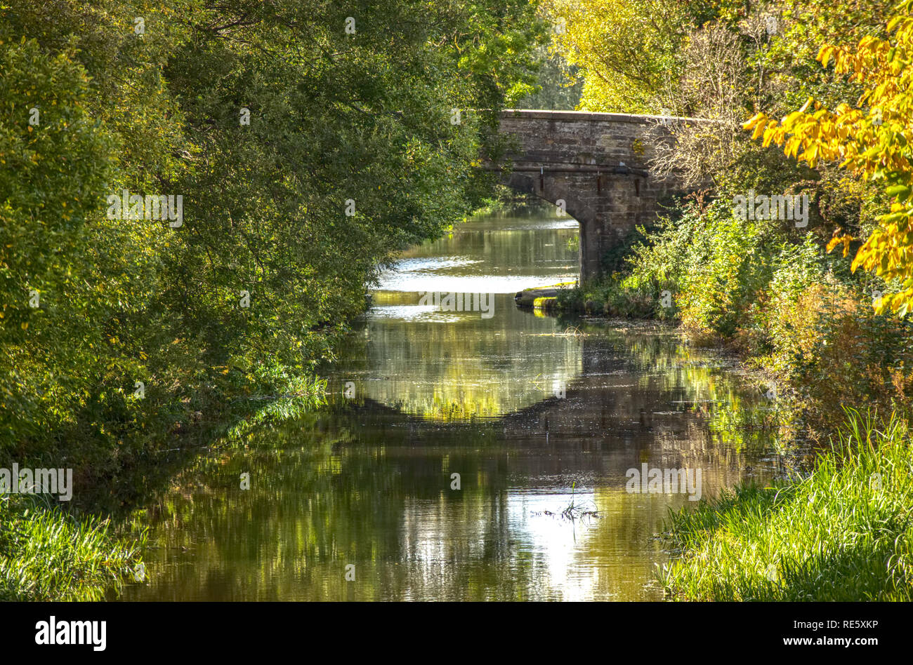 A stone bridge and it’s reflection on a quiet and calm  river in the autumn with leaves turning yellow. Stock Photo