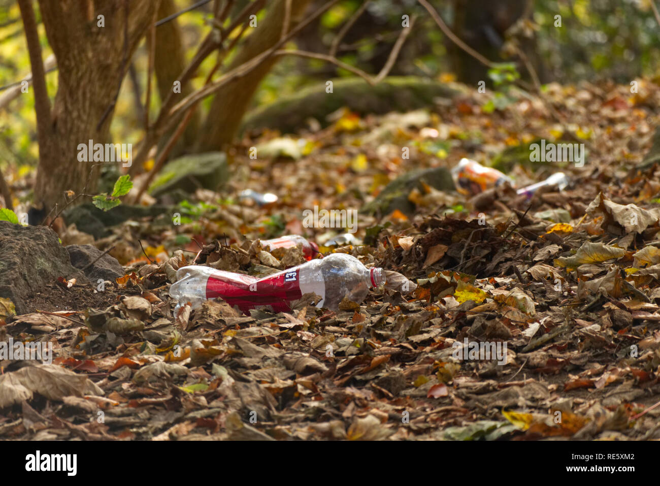 A photograph of plastic litter, a bottle, in a forest in Scotland. Stock Photo