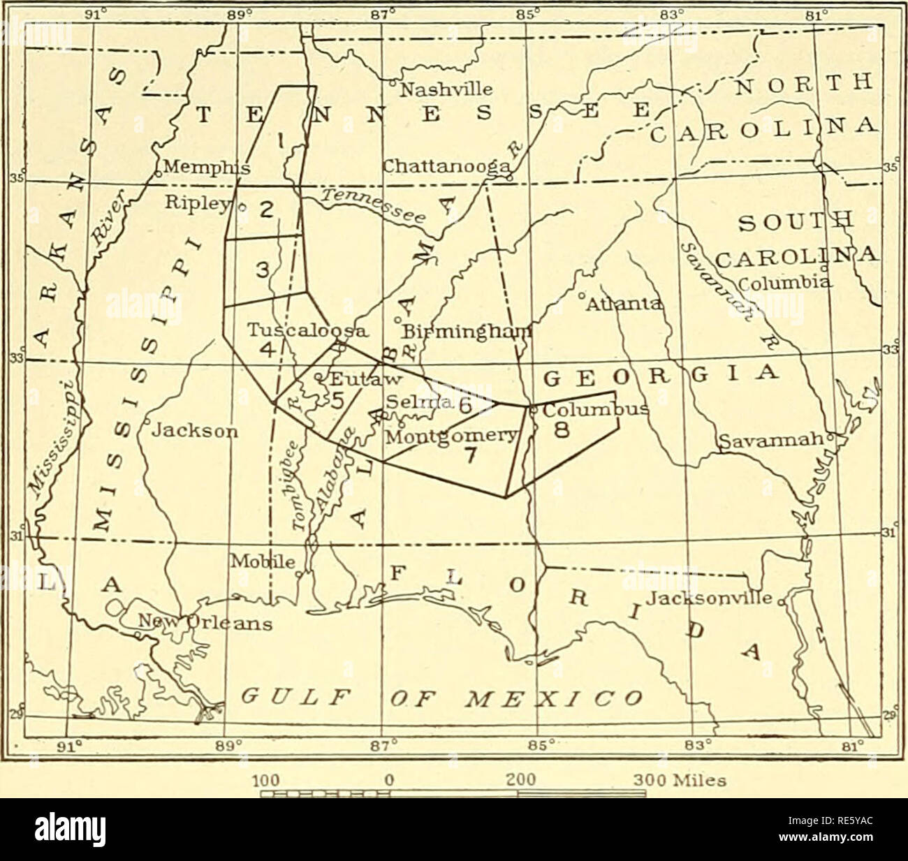 . Cretaceous deposits of the eastern Gulf region and species of Exogyra from the eastern Gulf region and the Carolinas. Geology, Stratigraphic; Geology; Bivalves, Fossil. 24 CRETACEOUS DEPOSITS OF THE EASTERN GULF REGION. In determining the fossils and preparing the lists on which the tables are based the writer was hampered by the fact that the types of many of the species were not at hand for comparison and that he had to depend on published descriptions and illustrations. The lists must therefore be regarded as of a preliminary character. For this reason it is to be expected that the ex- ha Stock Photo