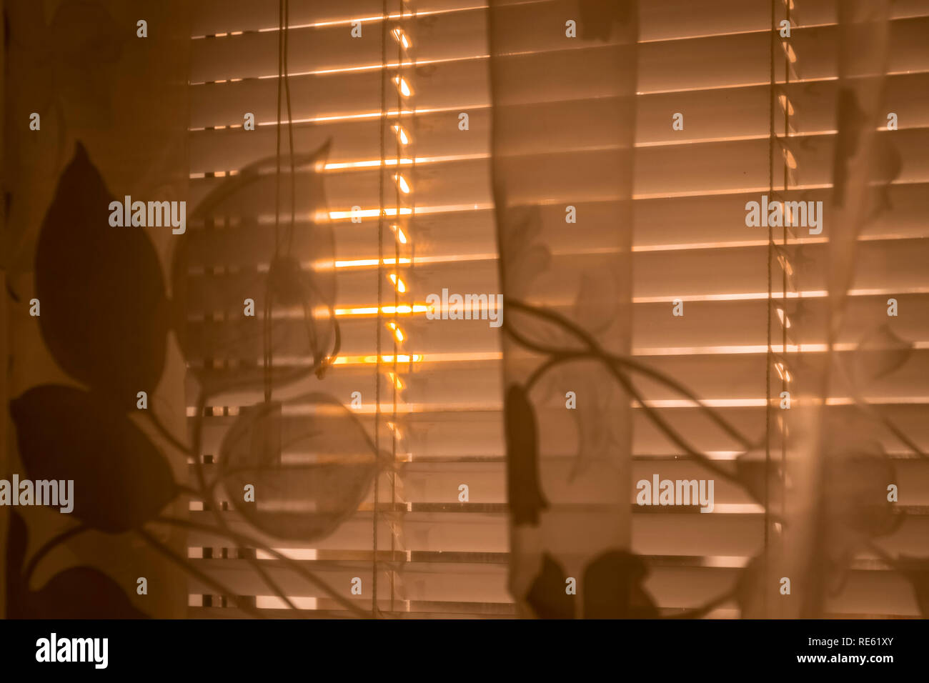 The evening sun shines through the tulle on the window Stock Photo - Alamy