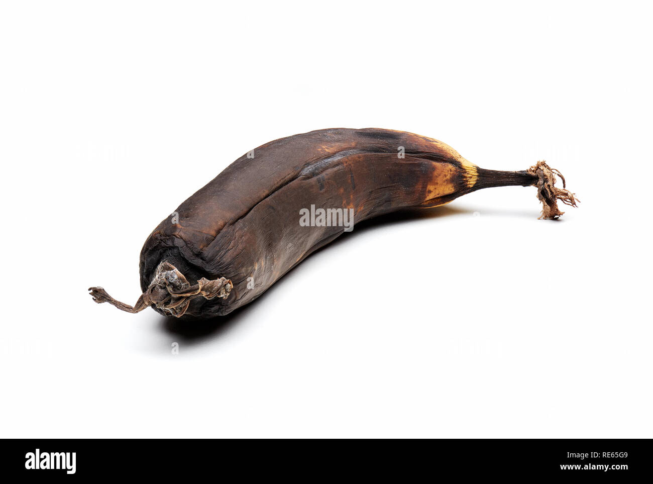 A single over ripened and spoiled banana isolated on white. Stock Photo