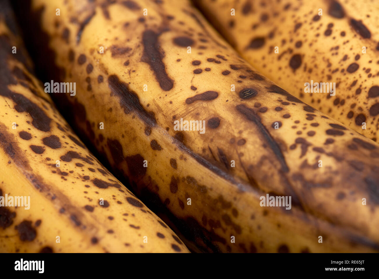 Banana Group Overripe Skin Detail With Dark Spots Beginning To Form On The Yellow Surface Stock Photo Alamy Banana Group Overripe Skin Detail With Dark Spots Beginning To Form On The Yellow Surface Stock Photo Alamy