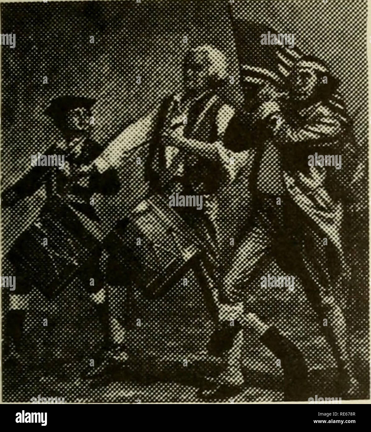 Archibald willard american hires stock photography and images Alamy