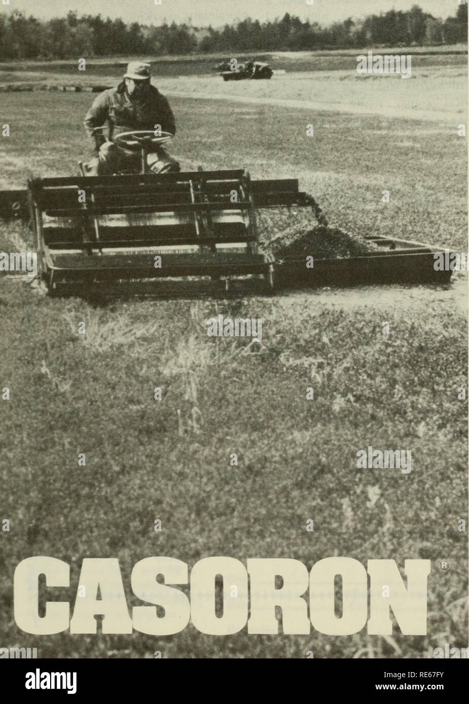 . Cranberries; : the national cranberry magazine. Cranberries. D you want to kill tough perennials Mfith just one pro-season applicatioi one hofbicicle can do the job.. Casoron, by itself, with a simp one-time application, IdlLs &quot;bracken fern, royal fern, hair cap moss, common horsetail .. .morethan40weeds,rushes and sedges that can make mincemeat of your cranberries. For more than a decade, cranberry growers themselves have proved Casoron's effectiveness. All you do is apply Casoror granules to bogs in early Spring. Then relax. Casoron works best in cold weather, after the first killing  Stock Photo