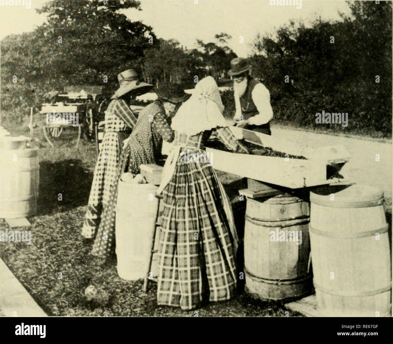 Bog holes hires stock photography and images Alamy