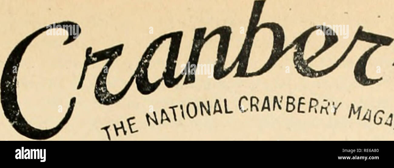 . Cranberries; : the national cranberry magazine. Cranberries. Issue of January 1958 - Vol. 22 No. 9 Published mc.nthlv at The Courier Print Shop. Main St.. Wareham, Massachusetts. , ,    i* T .^,. ofi iQia nt thp nnst.-nfFicp at Wareham. Massachl. Please note that these images are extracted from scanned page images that may have been digitally enhanced for readability - coloration and appearance of these illustrations may not perfectly resemble the original work.. Portland, CT [etc. ] : Taylor Pub. Co. [etc. ] Stock Photo