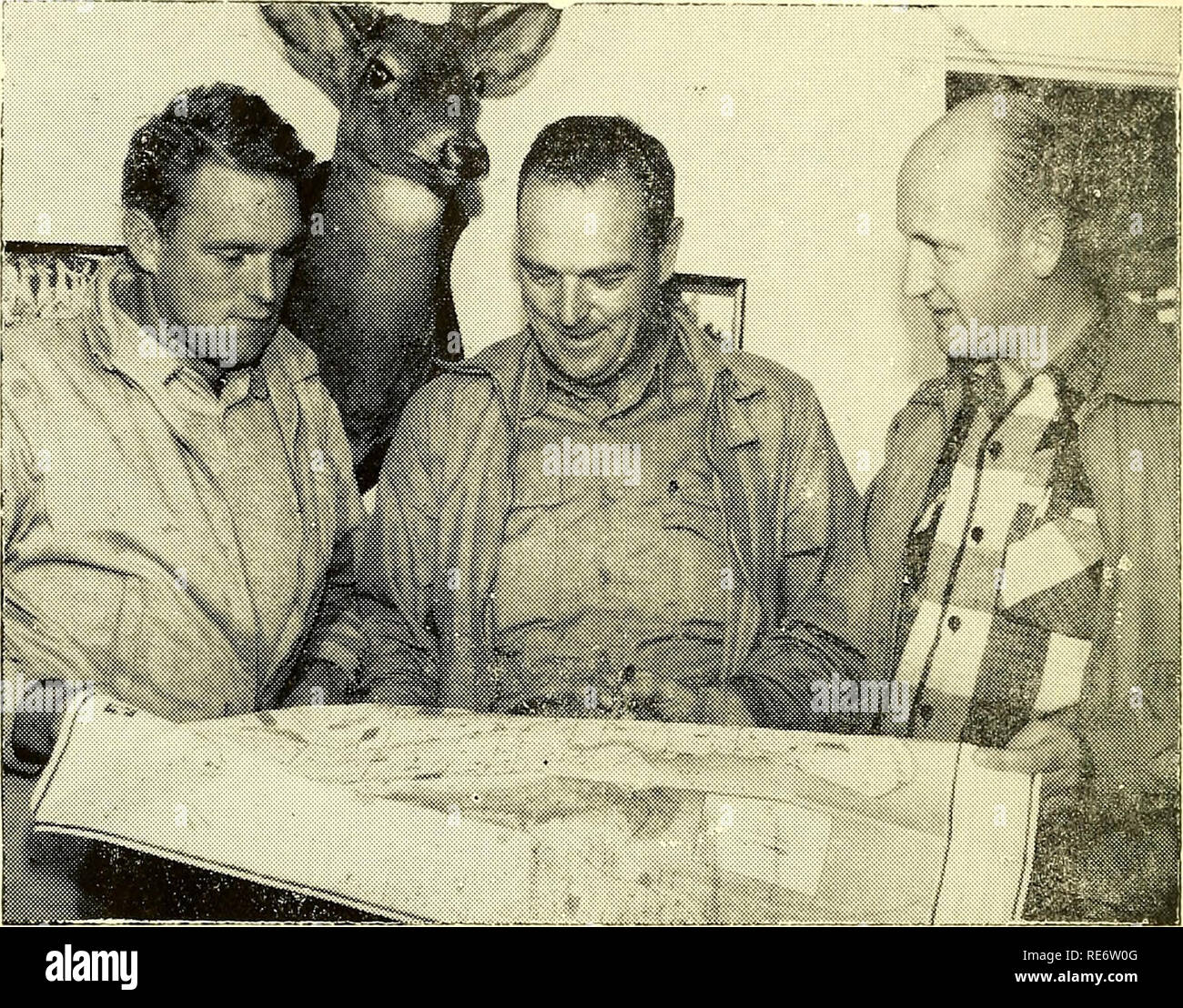 . Cranberries; : the national cranberry magazine. Cranberries. Three Massachusetts Men Going To British Columbia To Grow Cranberries. Messrs. Thomas, Shaw and Holmes (left to right) studying map of Lulu Island area. Standard-Times photo) By F. B. Chandler &quot;Go west, young man, go west&quot; is an adage which has challenged many young men in the past and this year and in 1955 three cran- berry growers from Massachusetts will be going to the Pacific Coast. Norman Holmes, Frederick Shaw and Jam'ss Thomas with their families are moving from Carver, Massachusetts to British Columbia to grow cra Stock Photo