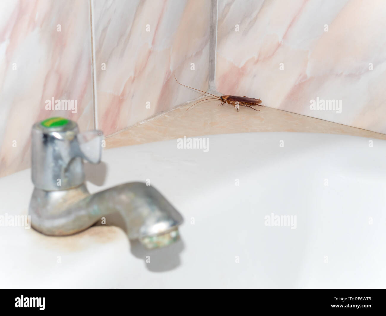 Hiding in closet hires stock photography and images Alamy