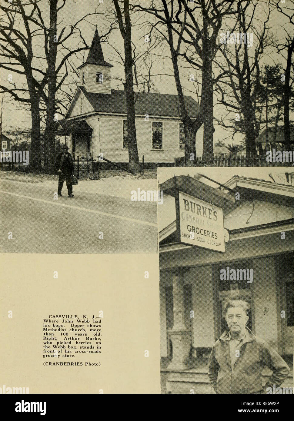 . Cranberries; : the national cranberry magazine. Cranberries. CASSVILLE, N. J.— Where John Webb had his bogs. Upper shows Methodist church, more I ban 100 years old. Right, Arthur Burke, who picked berries on the Webb bog, stands in front of his cross-roads grocery store. (CRANBERRIES Photo) Sixte. Please note that these images are extracted from scanned page images that may have been digitally enhanced for readability - coloration and appearance of these illustrations may not perfectly resemble the original work.. Portland, CT [etc. ] : Taylor Pub. Co. [etc. ] Stock Photo