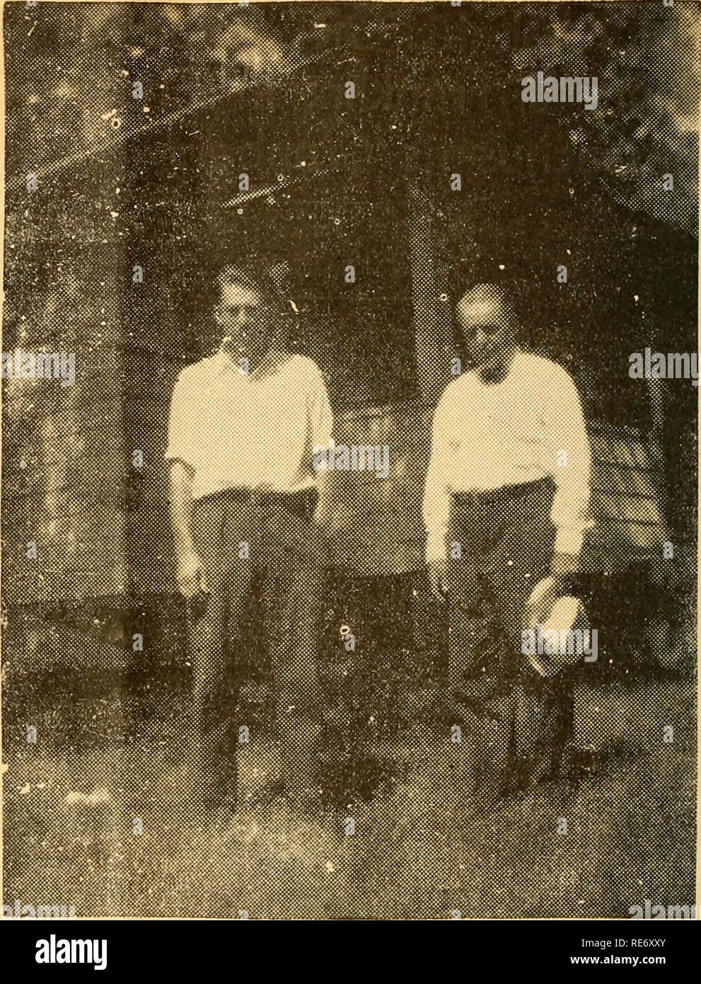 . Cranberries; the national cranberry magazine. Cranberries