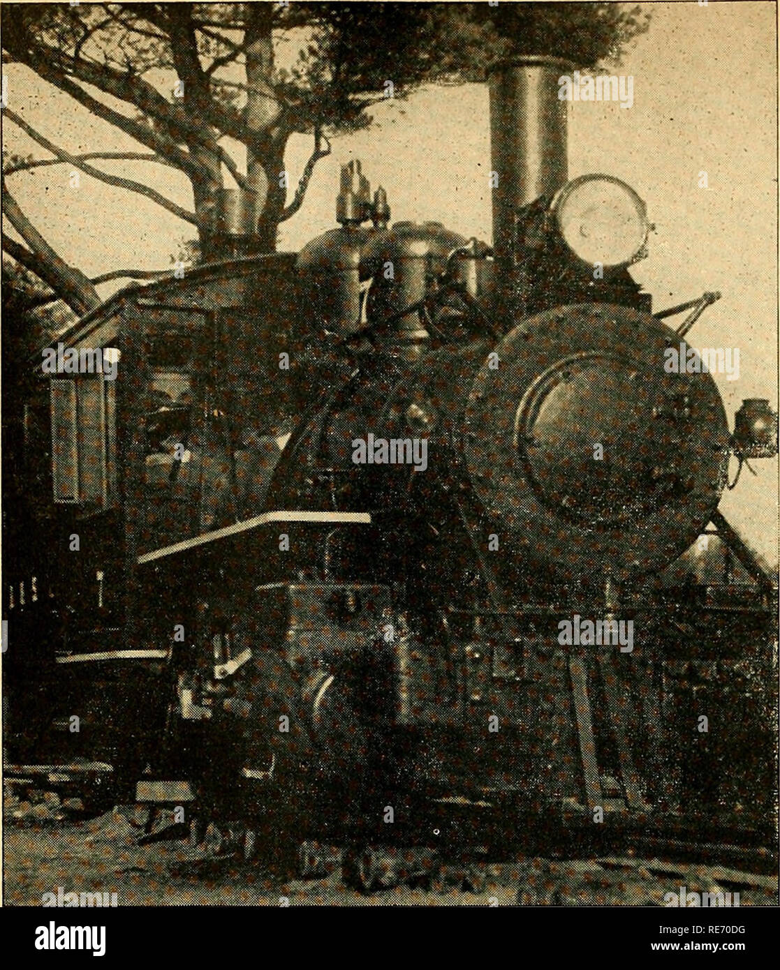 . Cranberries; the national cranberry magazine. Cranberries. Ellis D