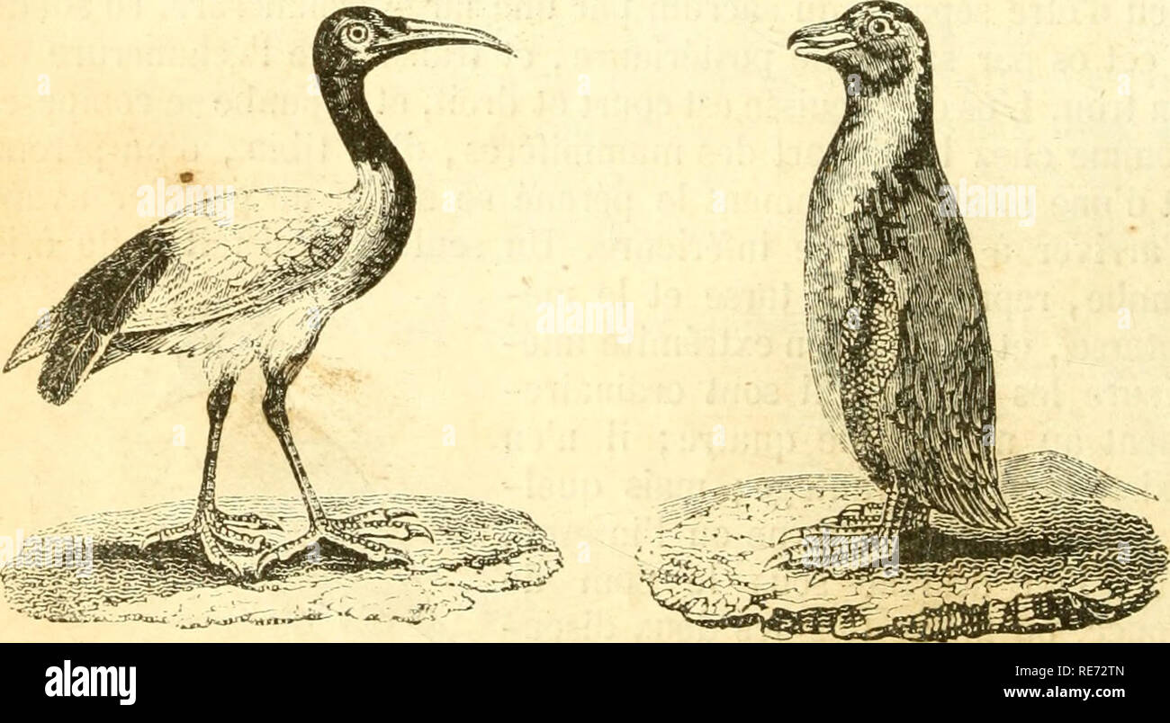 Cours ãlãmentaire Dhistoire Naturelle A Lusage Des