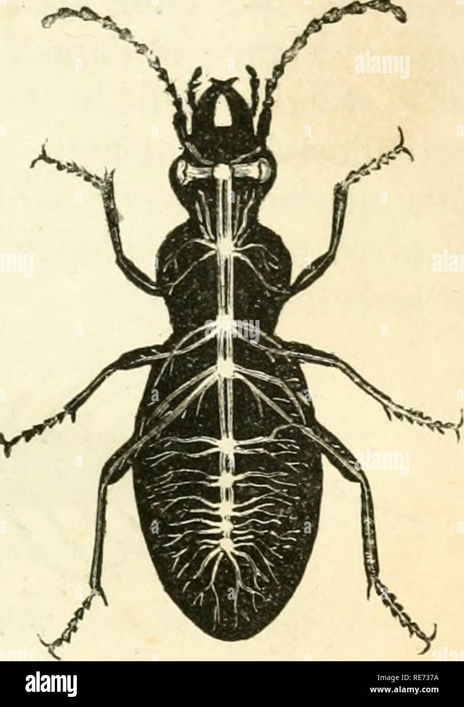 Nombre binaire hi-res stock photography and images - Alamy