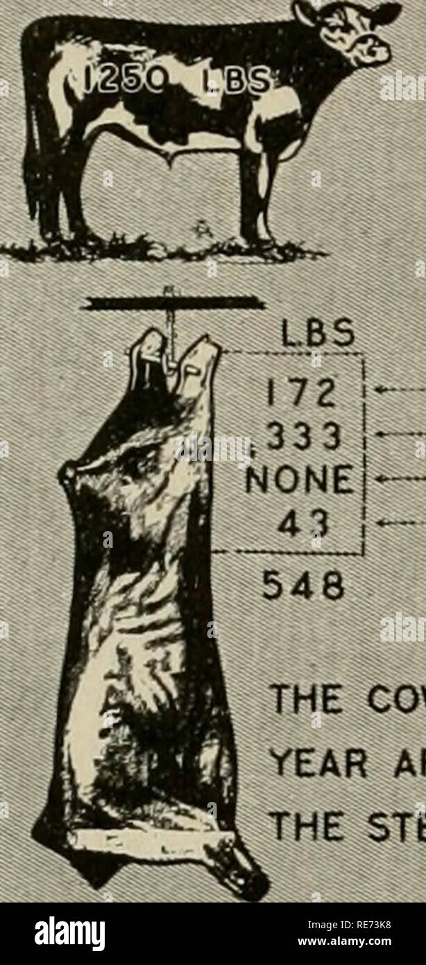 . The cow makes farming more profitable Dairying. El BOTH FOOD GOOD