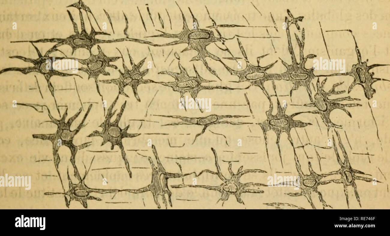 Cours masse hi-res stock photography and images - Alamy