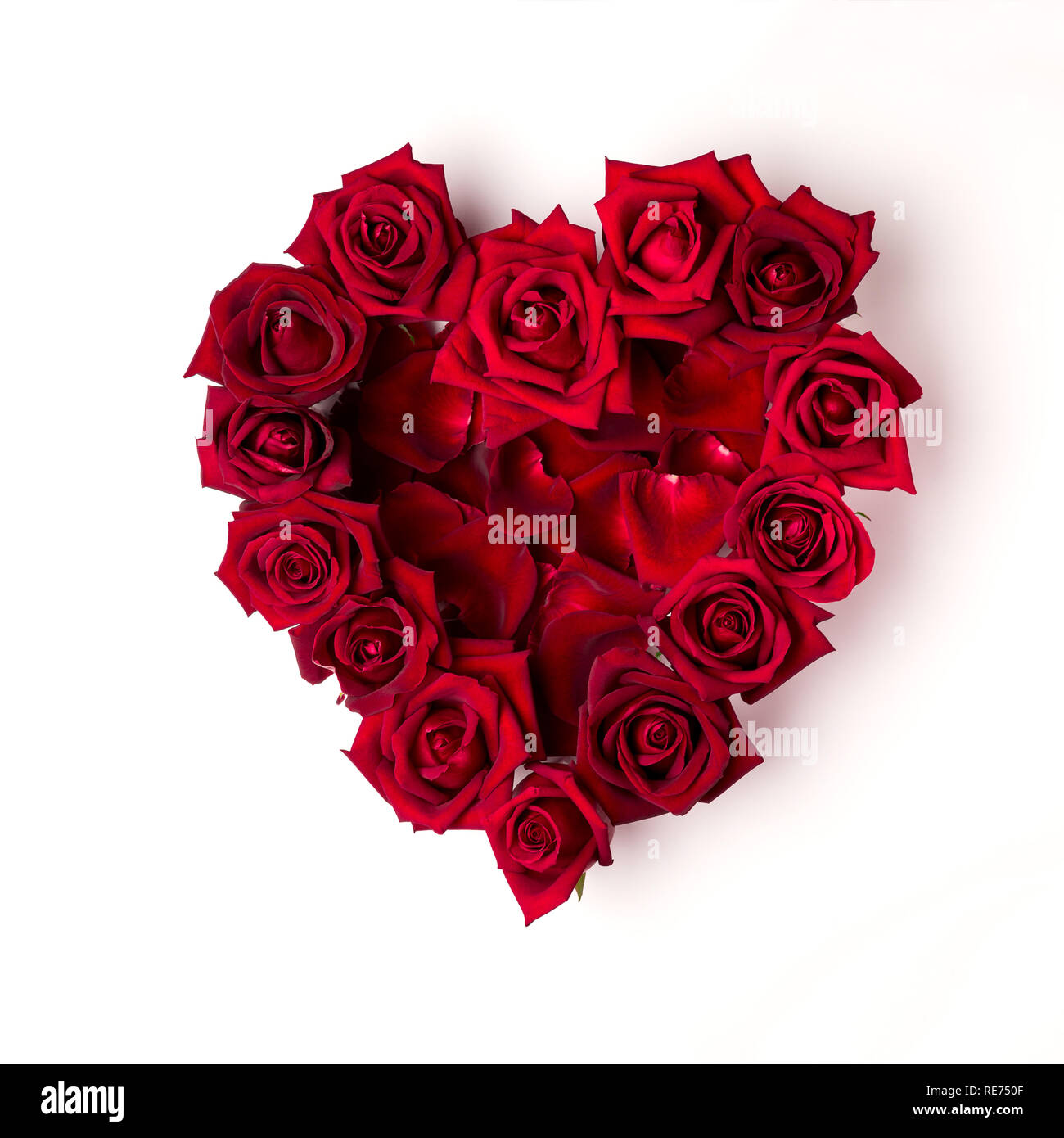 Top view image of heart shape red rose flowers on white background ...