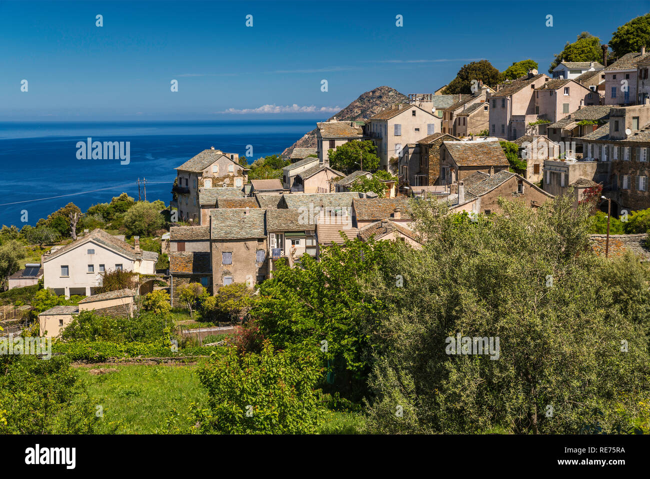 Hill town of Canari over Mediterranean Sea, Cap Corse, Haute-Corse, Corsica,  France Stock Photo - Alamy, image size:1300x957