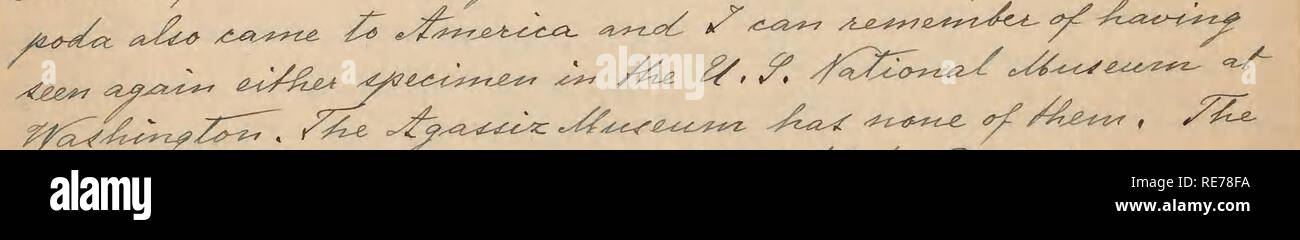 Rudolf Blaschka Letters To Walter Deane Botanists Correspondence S A Y Z Z Zy Amp Y Gt Ty Cs T Ajg Zy F Gk Ciw 3l Cace Yt Yy Y Uy Y Yy Y U I R Tc Za Aid Ccv E T Y Z Zzz Y