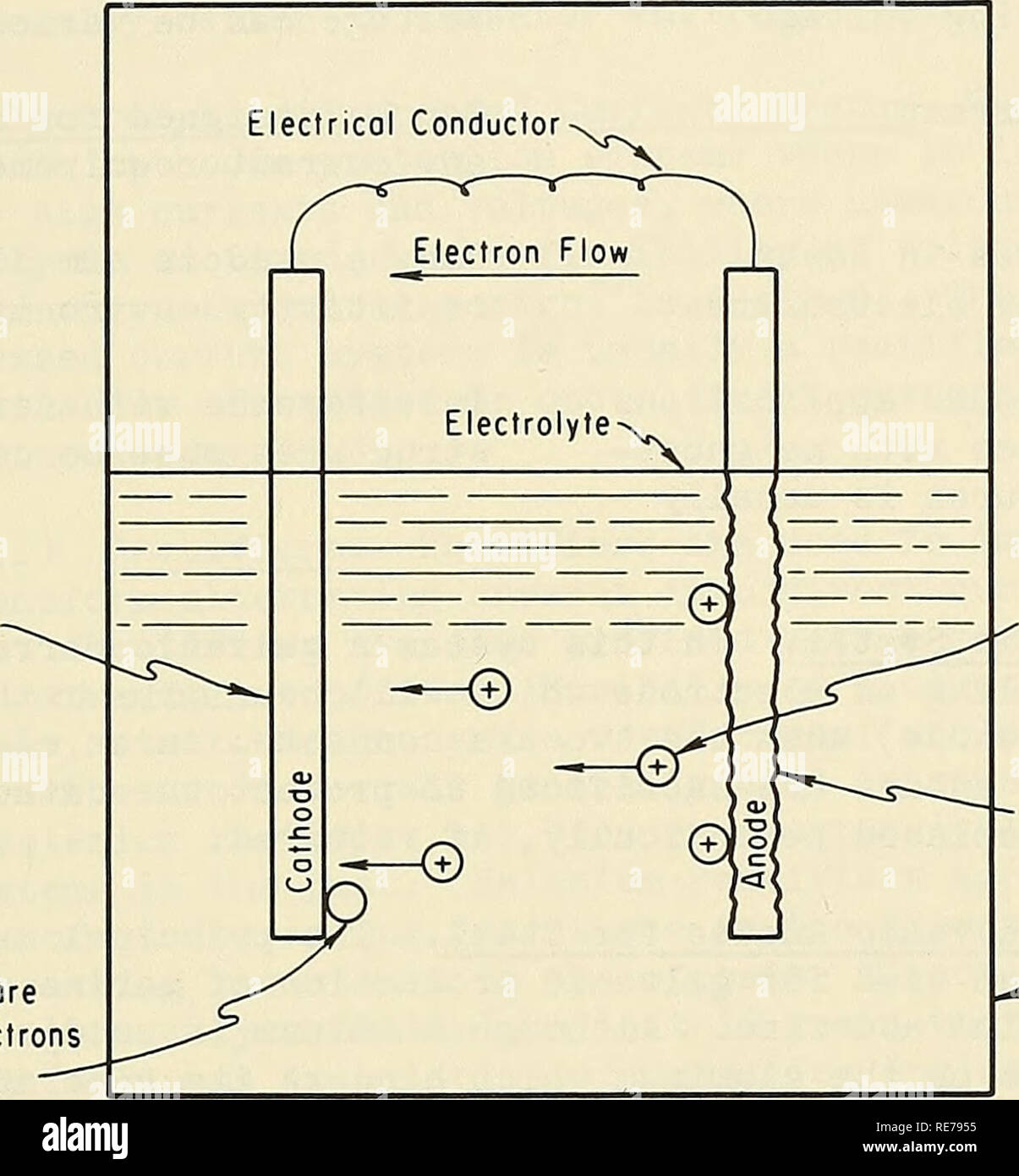 Anode and cathode ions hires stock photography and images Alamy