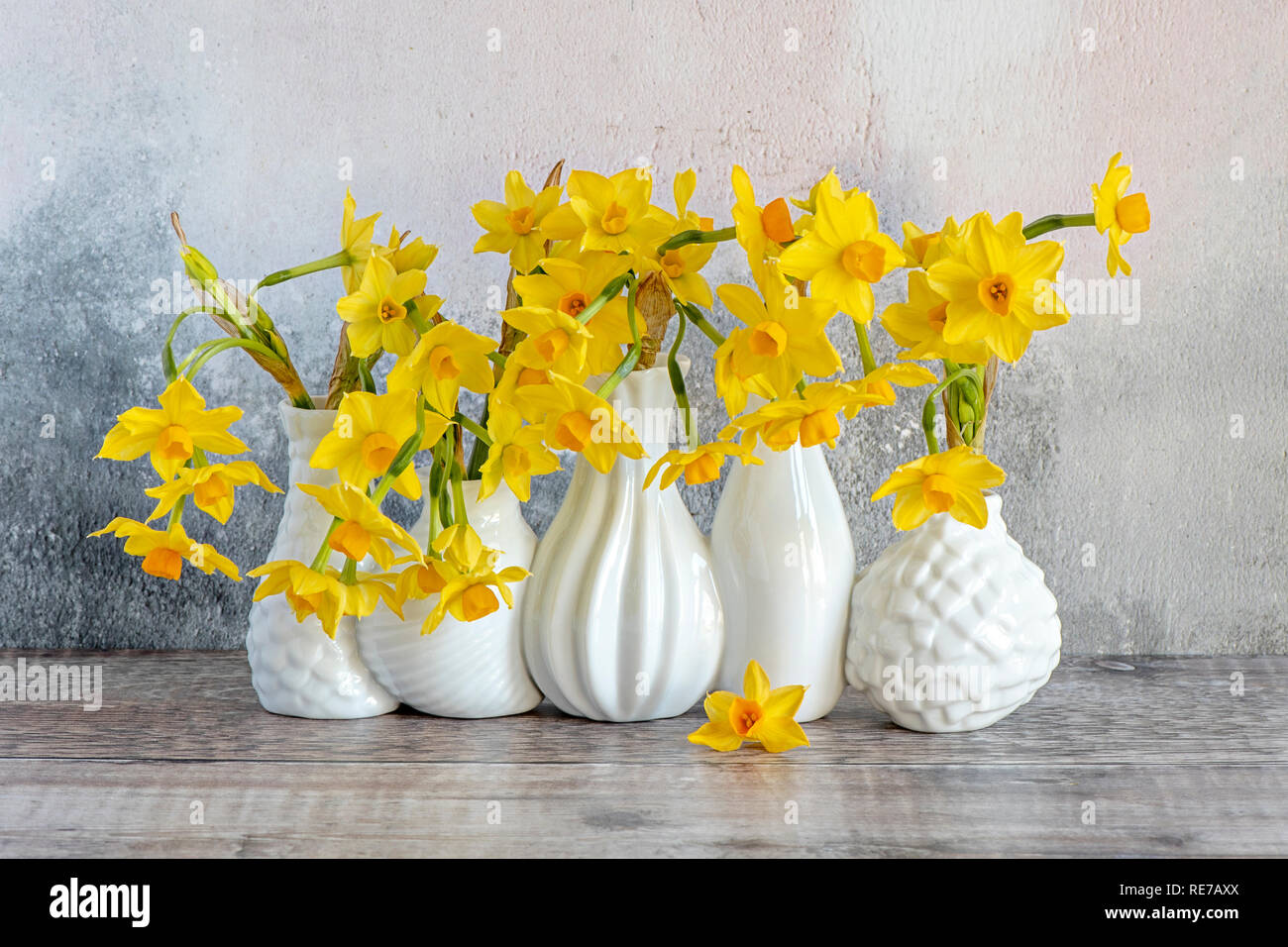 Beautiful spring, yellow Narcissus 'Tête-à-tête' - Daffodils arranged in white porcelain vases Stock Photo