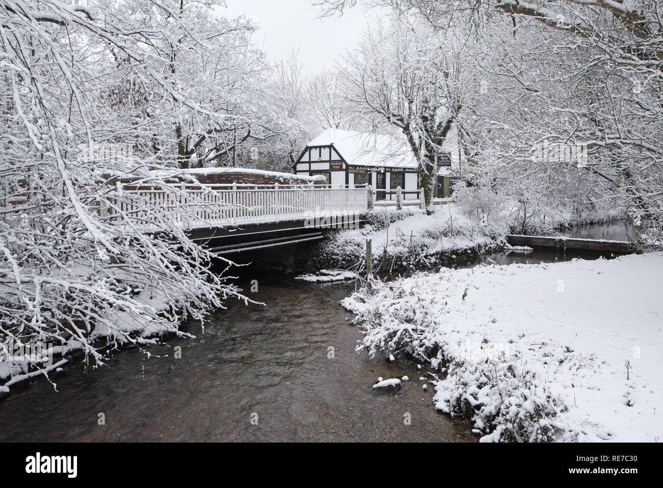 Ringwood tackle hires stock photography and images Alamy