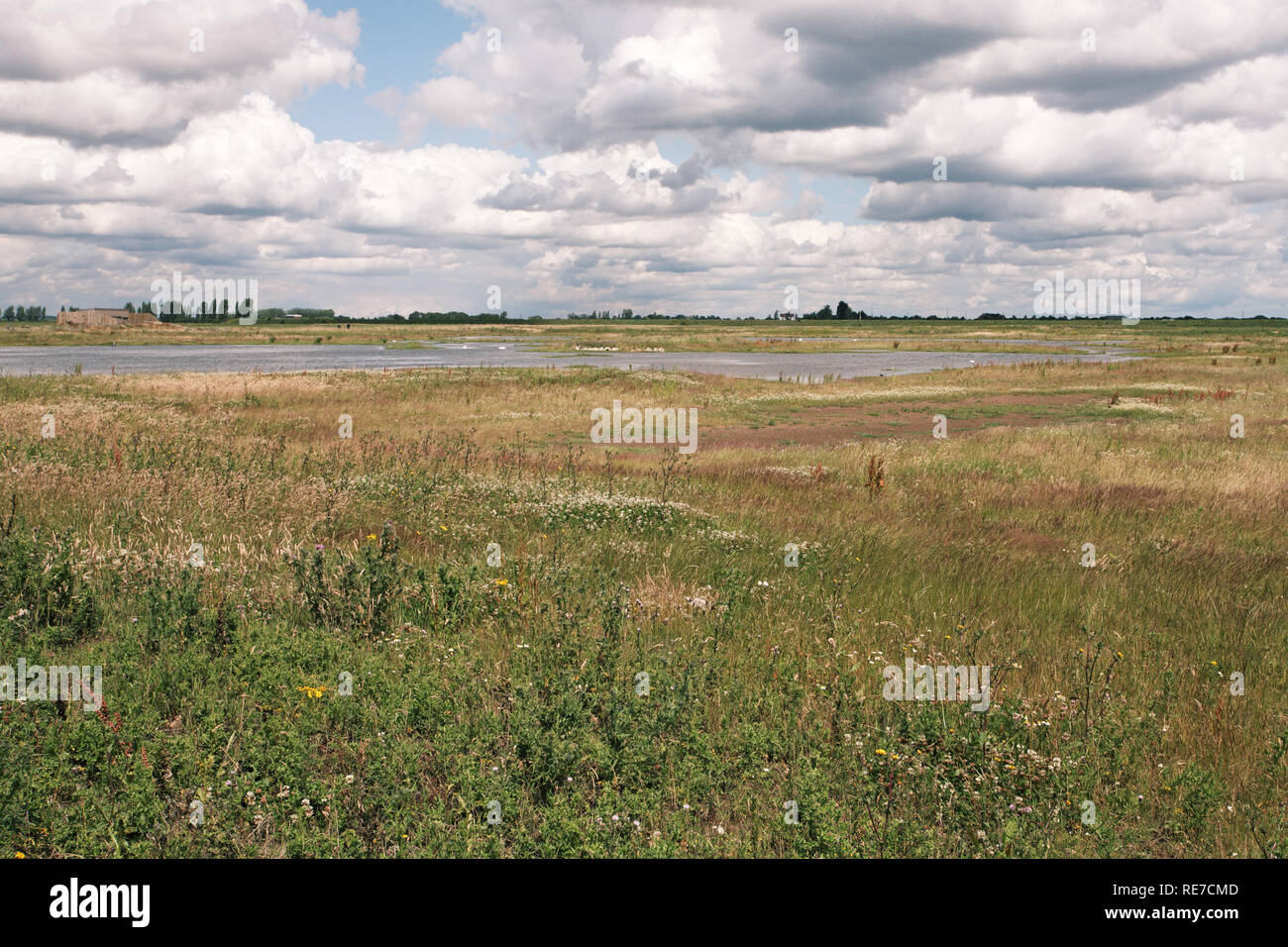 Frampton marsh hires stock photography and images Alamy