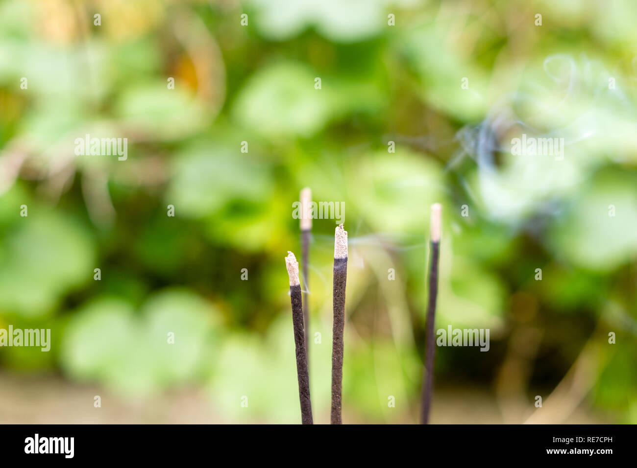 Close-up of Incense sticks burning. Selective focus on central stick Stock Photo