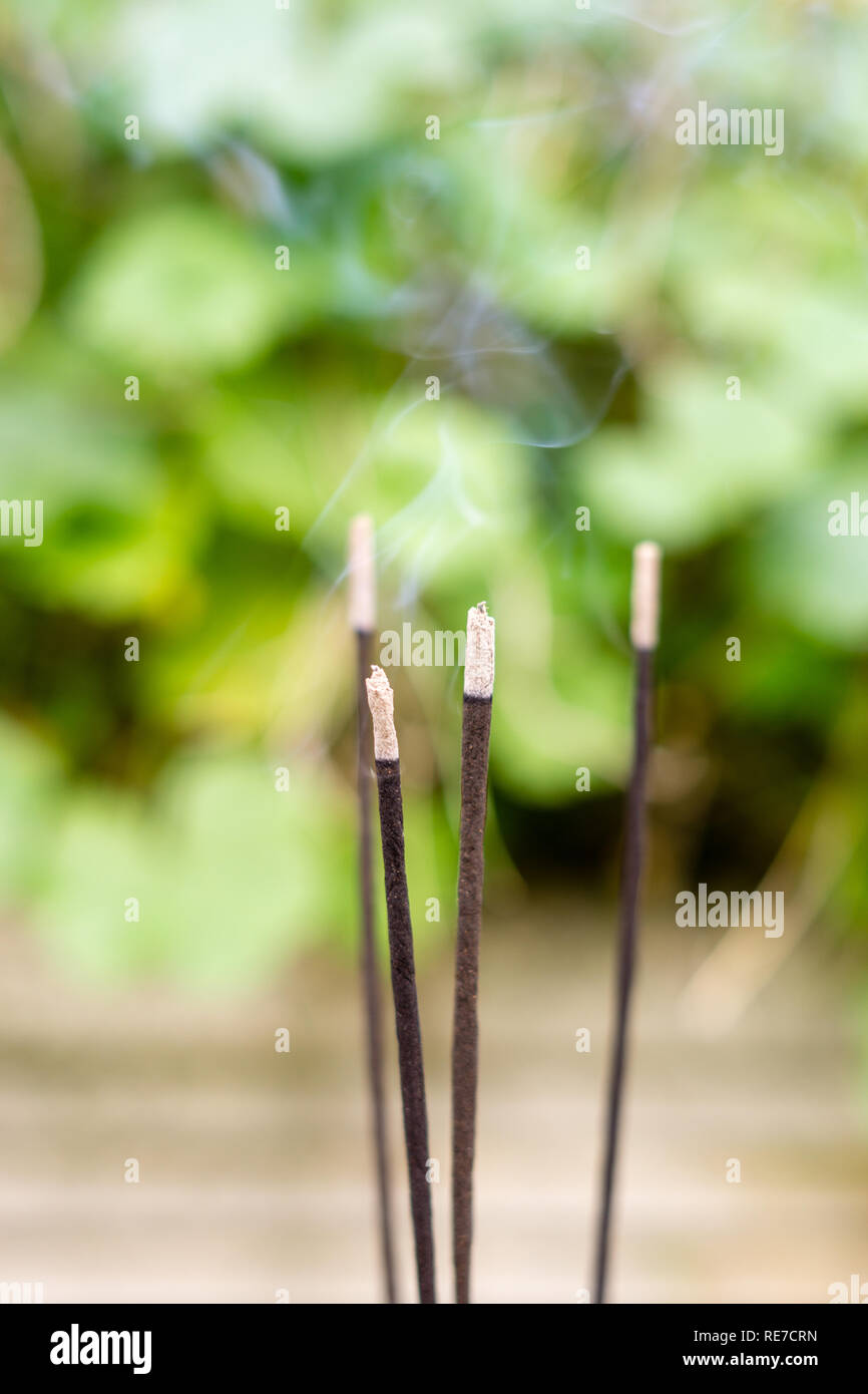 Close-up of Incense sticks burning. Selective focus on central stick Stock Photo