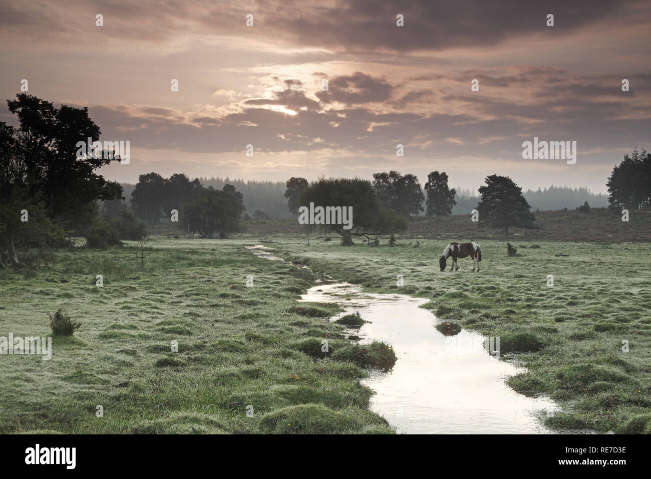 Ober water at sunrise near Markway Bridge New Forest National Park ...