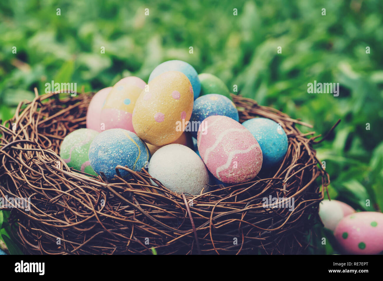 Colorful easter eggs and nest on green grass with sunlight. vintage ...