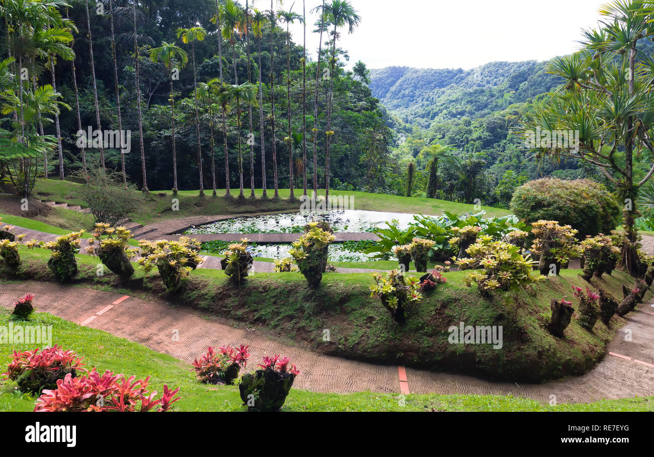 The garden of Balata, Martinique island, French West Indies. Stock Photo