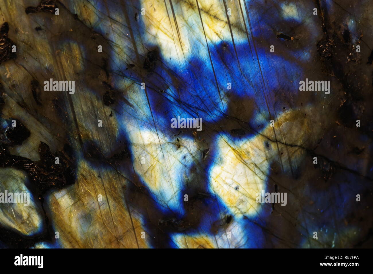 Macro Abstract Close Up Photo of Labradorite Geological Sample Displaying Colourful