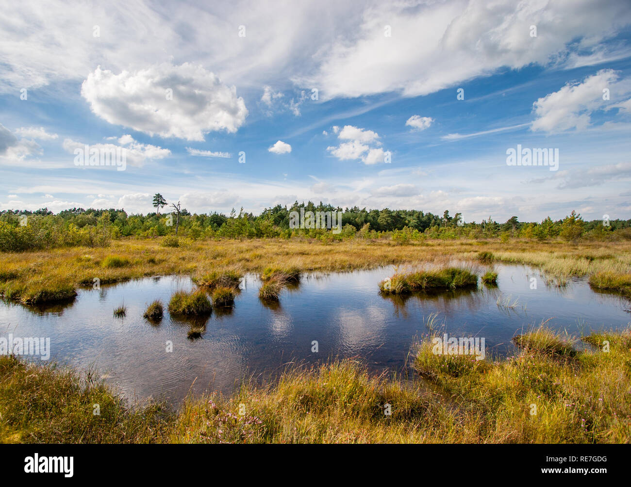 Pudmore Pond at Thursley Common National Nature Reserve in Surrey U Stock Photo