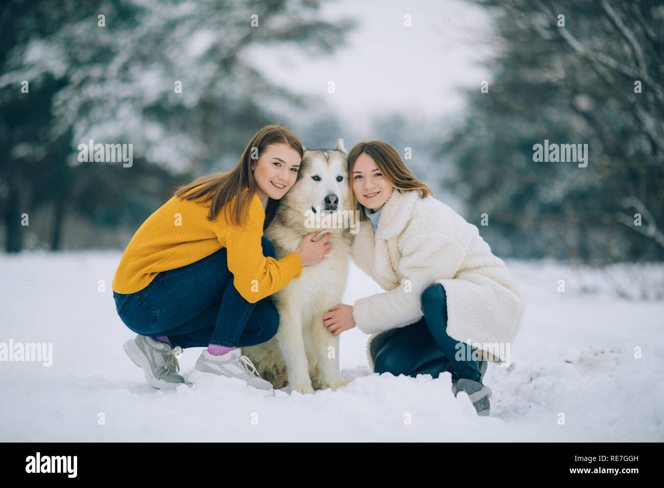 Two girls walk in a snowy forest with a dog Alaskan Malamute in winter ...