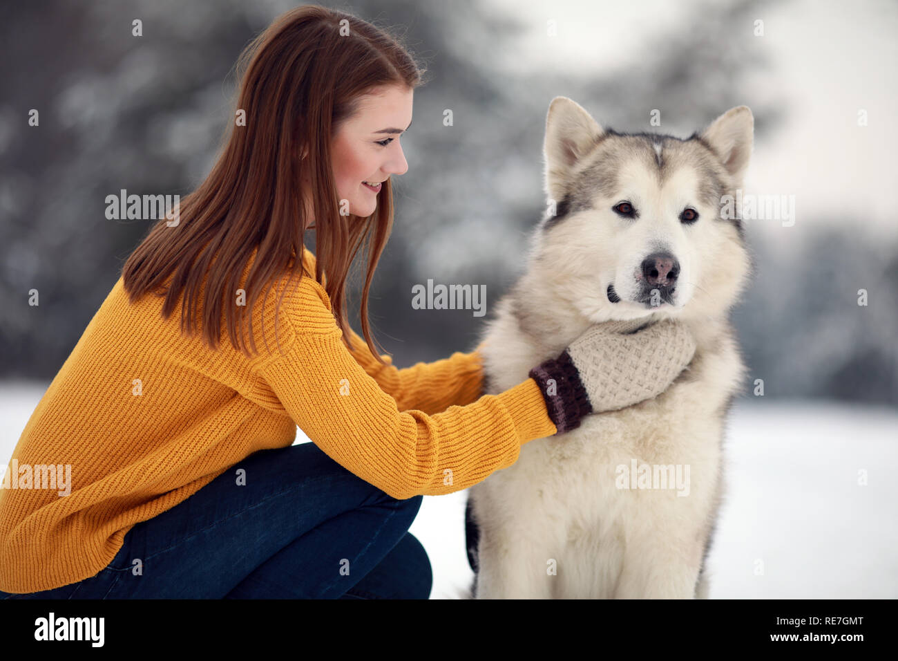How Long To Walk A Malamute