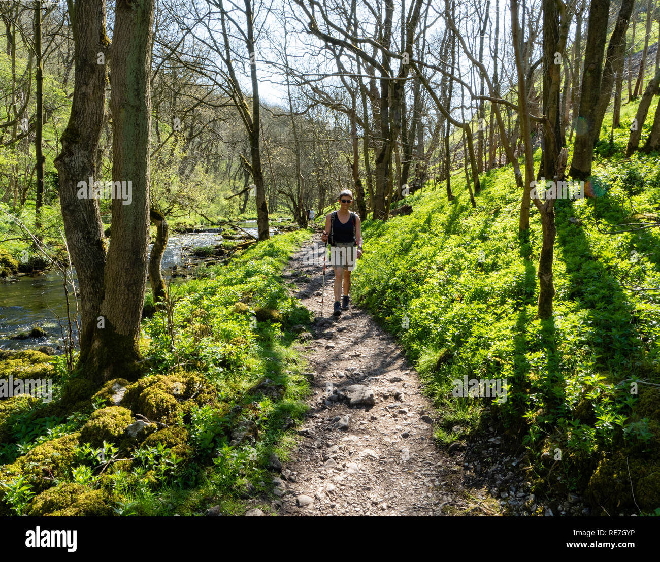 Walking in late spring sunshine in Lathkill Dale in the Derbyshire Peak District UK Stock Photo