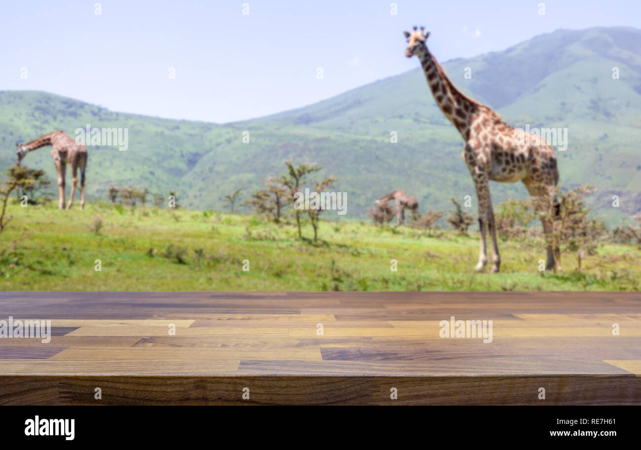 Empty table top for product display montage. Safari lodge concept and giraffes blurred in the background. Stock Photo