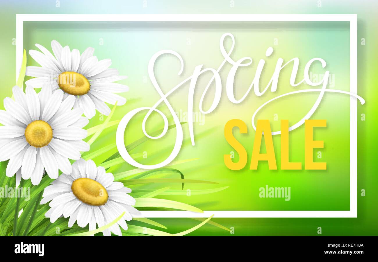 Frame with grass and chamomile. Spring sale text. Vector background for season discount offer, invitation card or flyer. Bokeh light effect in the bac Stock Vector