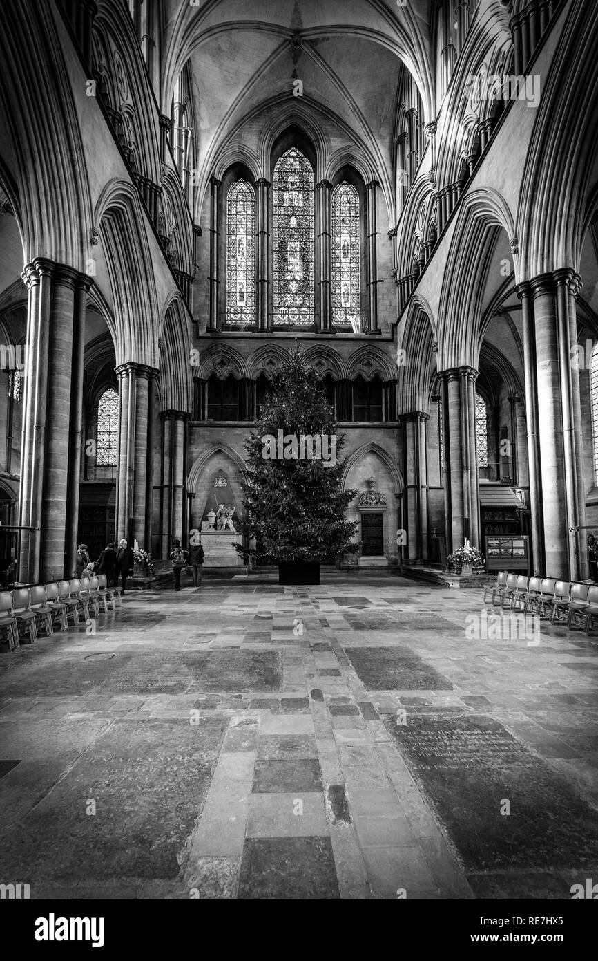 Black and white image of part of Salisbury Cathedral and Christmas tree with stained glass window above Stock Photo