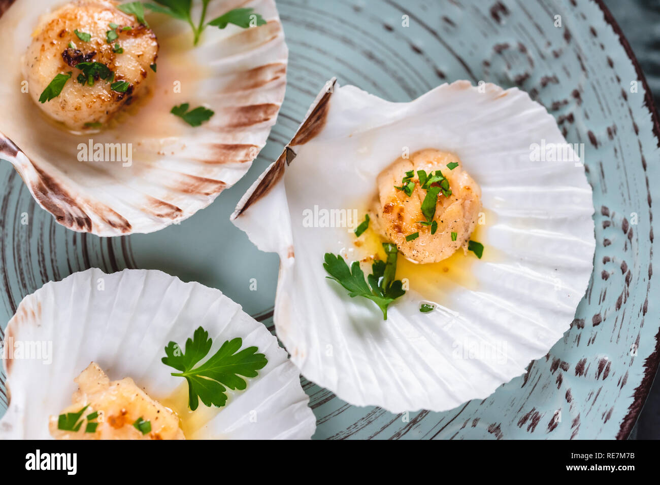 Seared scallops shell with butter, garlic and parsley Stock Photo Alamy