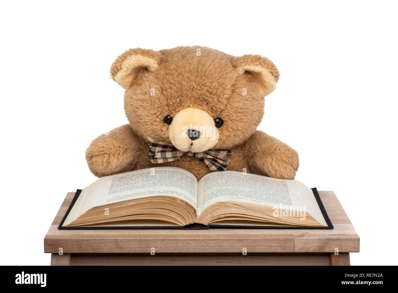 teddy bear reading book isolated on white background Stock Photo