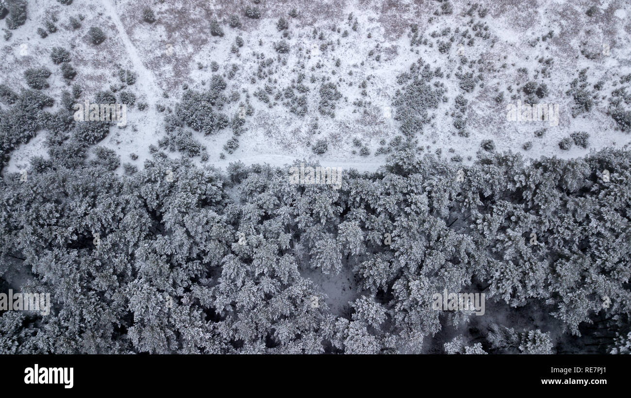 winter forest and after the top view from the quadcopter. Aerial survey Stock Photo