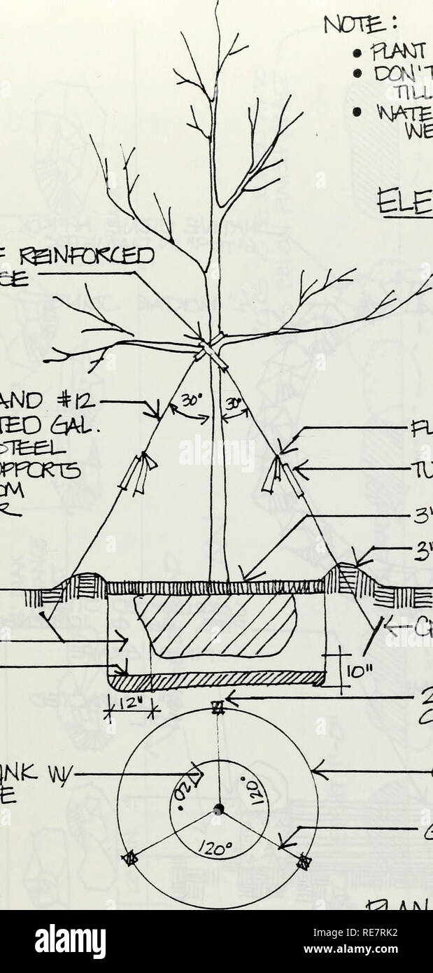 Corn Springs area of critical environmental concern (ACEC) management plan.  Conservation of natural resources; Oases; Nature conservation. XXtitLZ  SHSAsND #12- WIRE, AC -2UPTCRT5 <^lt Manure. NOTE.: •--RANT IN NO/  ^C&L •