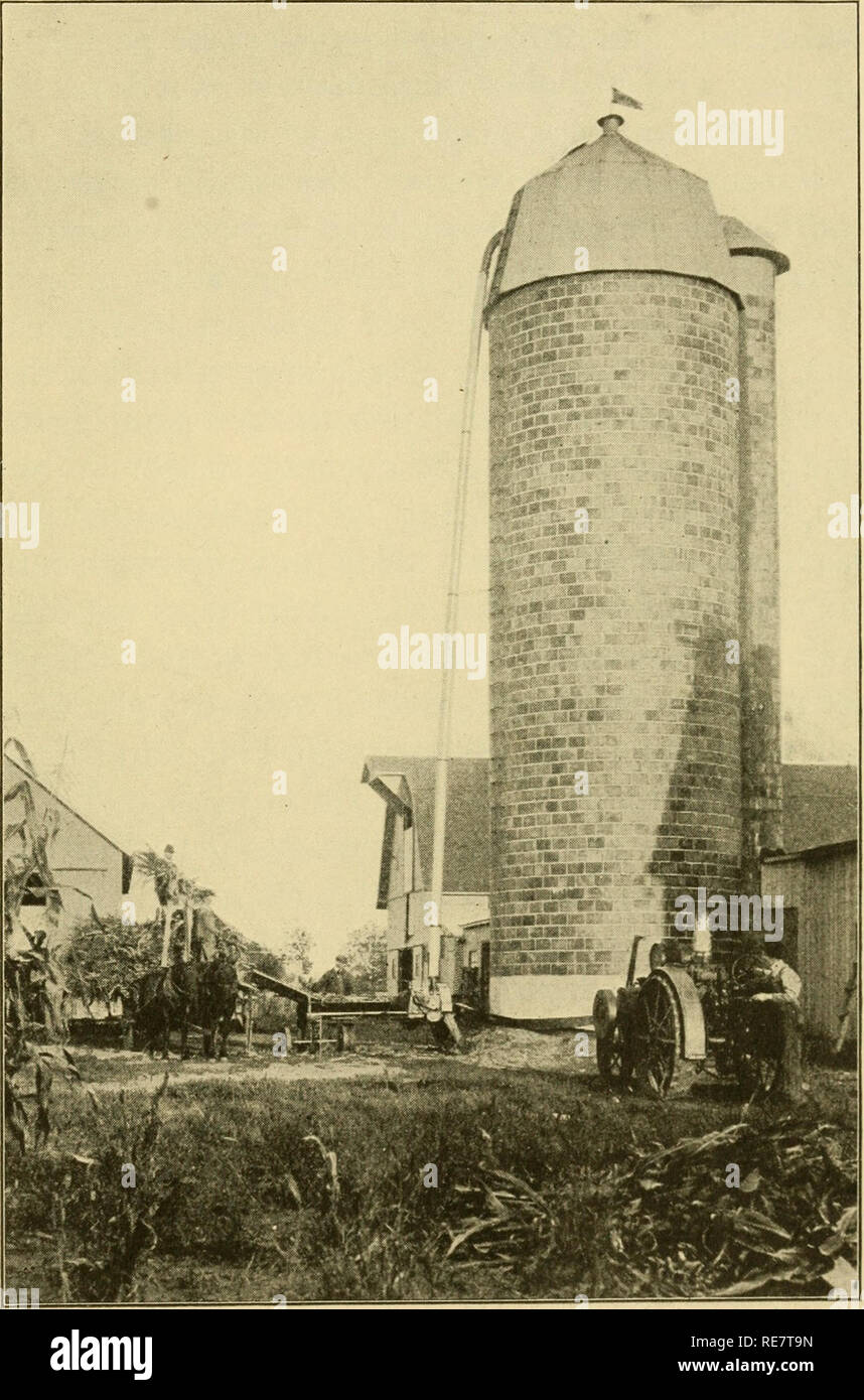 . Corn book for young folk. Corn. Fig. 185. Filling the Silo. Please note that these images are extracted from scanned page images that may have been digitally enhanced for readability - coloration and appearance of these illustrations may not perfectly resemble the original work.. Williams, Charles Burgess, 1871-; Hill, Daniel Harvey, 1859-1924, joint author. Boston, Ginn Stock Photo