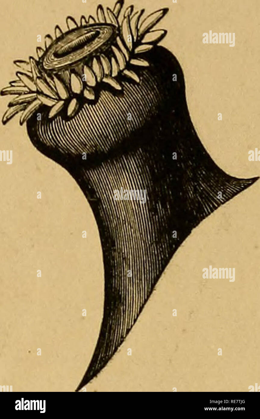 Colorless disk hi-res stock photography and images - Alamy