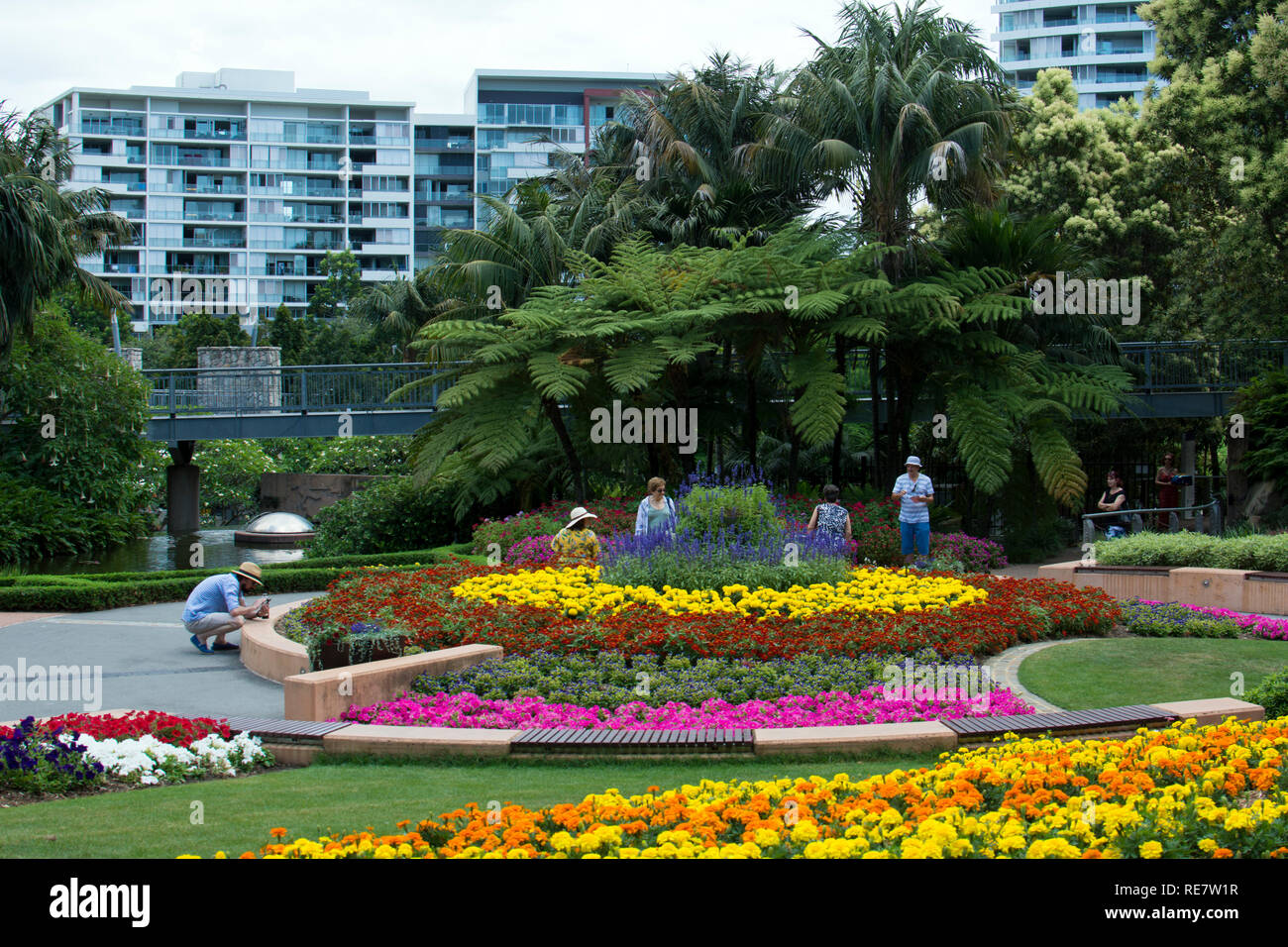 Summer bedding in Roma Street Parkland, Brisbane, Queensland, Australia