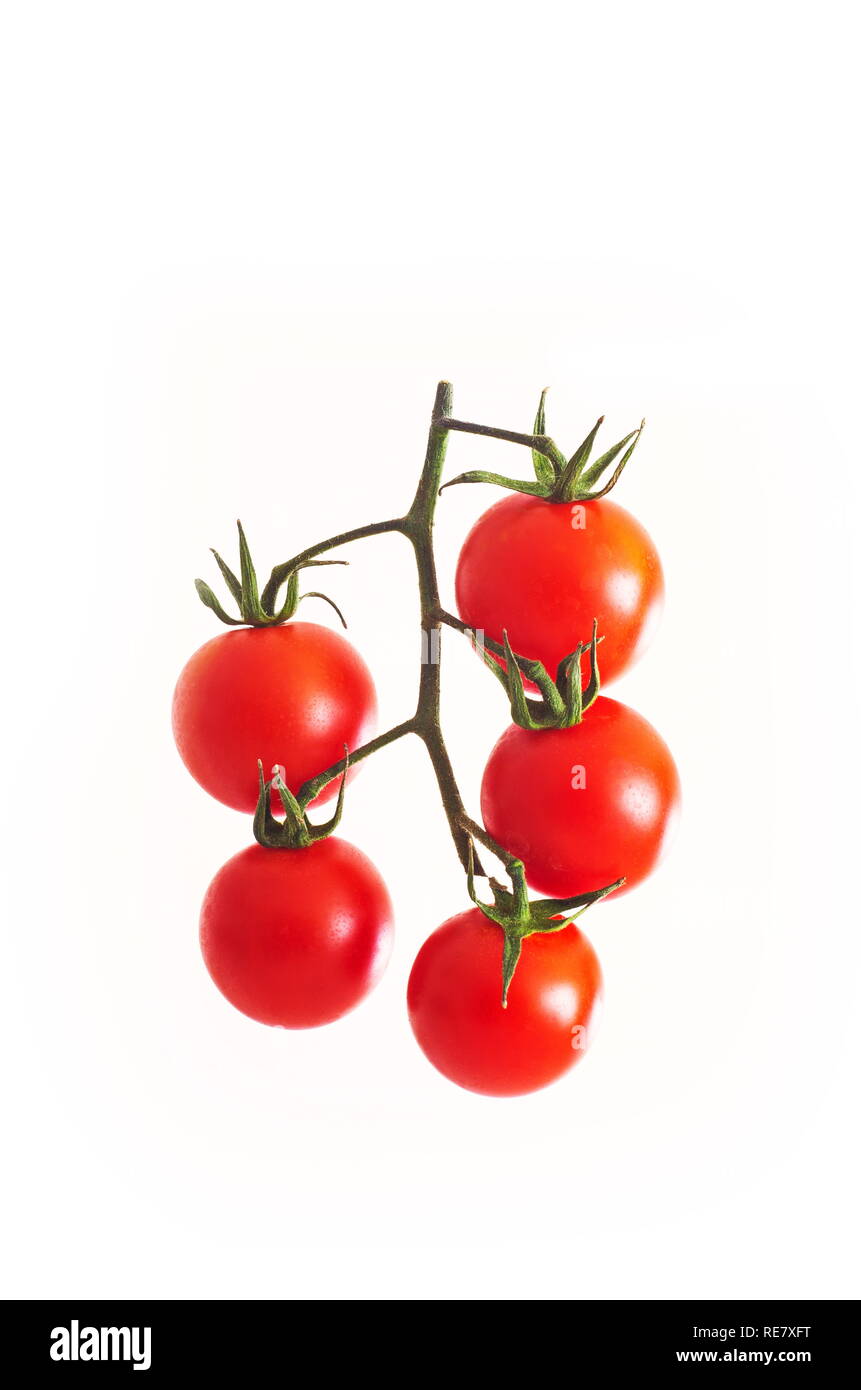 Red cherry tomatoes on stem isolated against white background Stock Photo