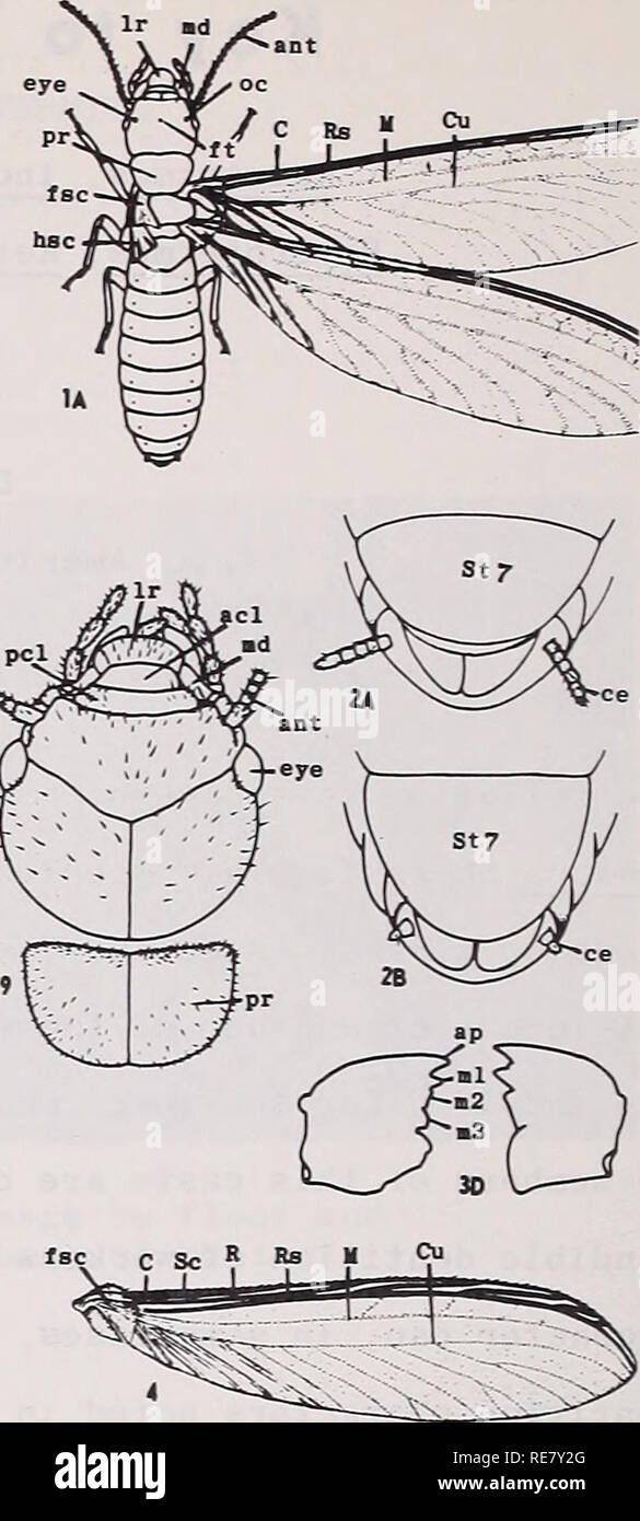 . Cooperative economic insect report. Insect pests Control United ...