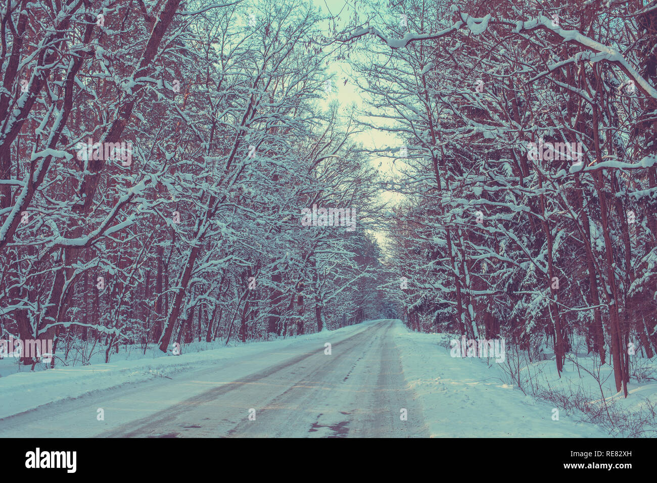 Snowy Path Cold Stock Photos Snowy Path Cold Stock Images